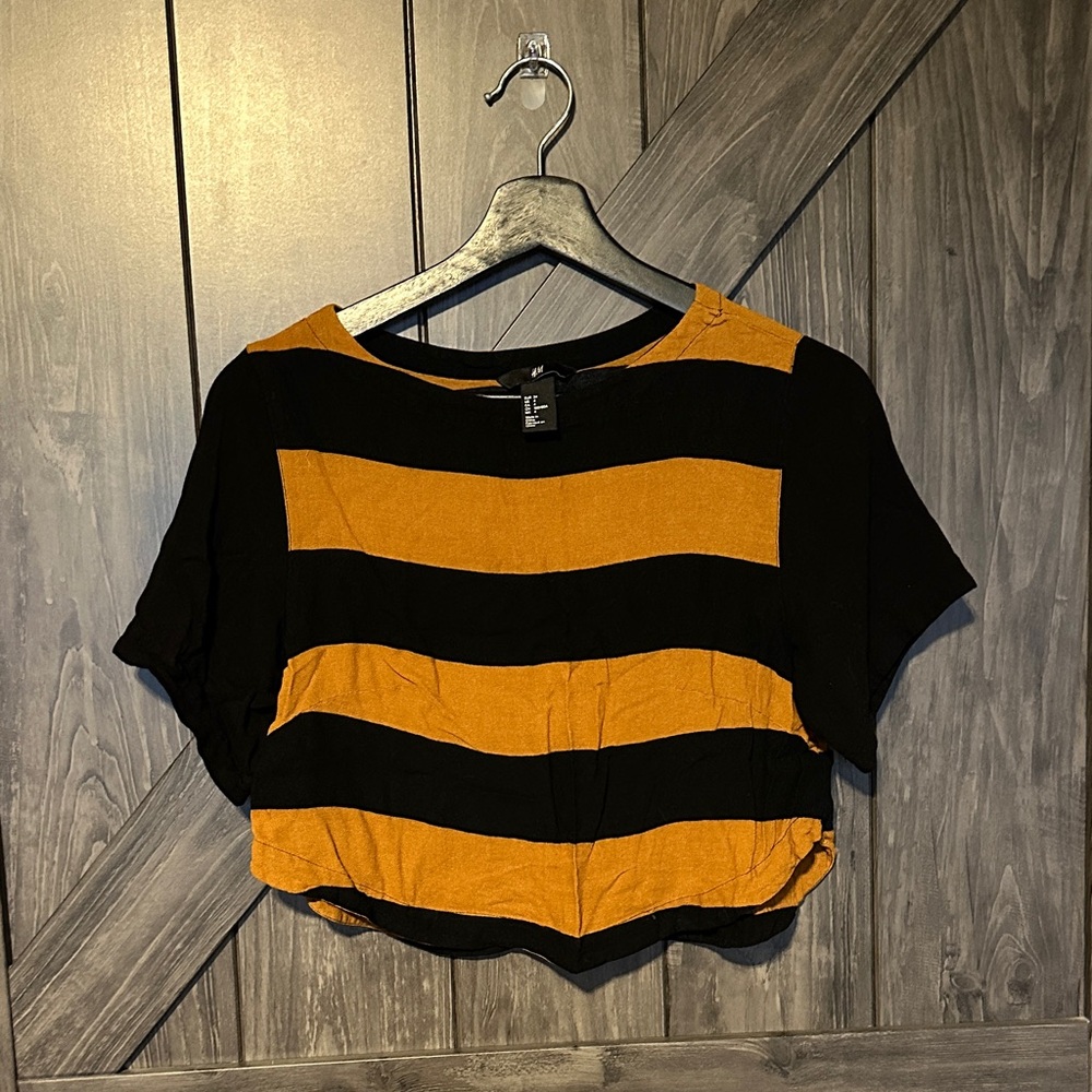 H&M Black and Brown Striped Crop Top